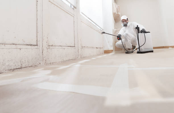 24/7 Emergency Bathroom Mold Removal experts in Sparta, IL