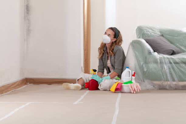 Reliable Bathroom Mold Removal contractor in Sparta, IL by 24 Hour Mold Removal